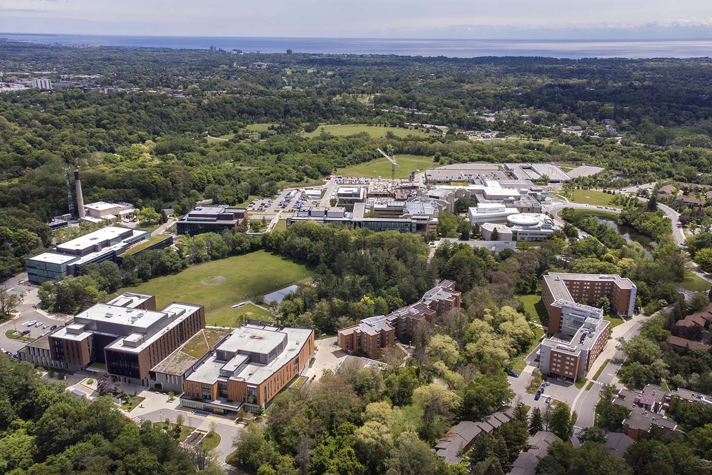 Contact - Black at the University of Toronto Mississauga